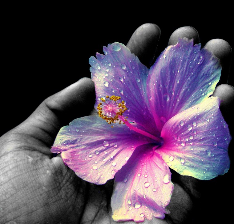 Брюнетка с ромашками без лица