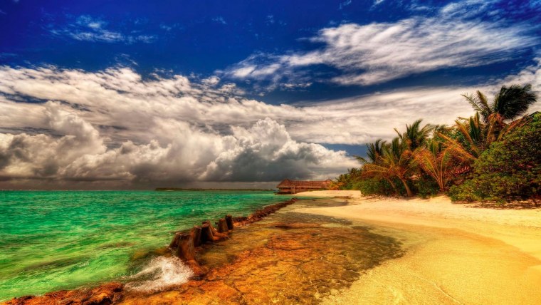 Летний пейзаж