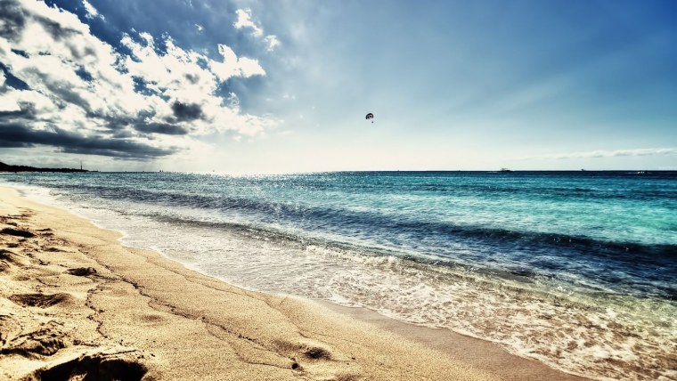 Летнее поле