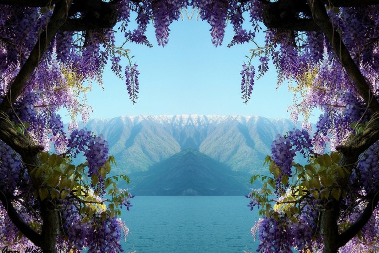 Жан Марк Жаньячик картины