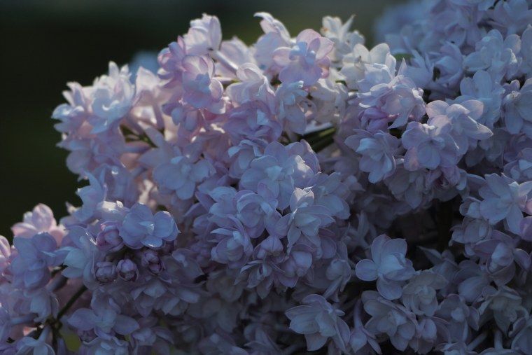 Море весной