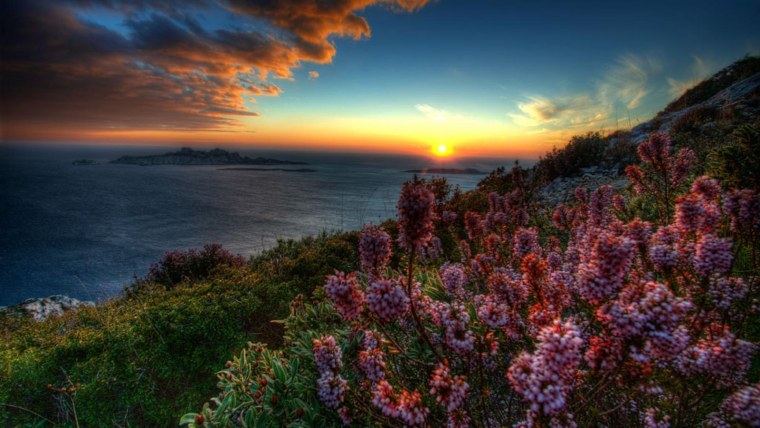 Бирюзовый цвет фон