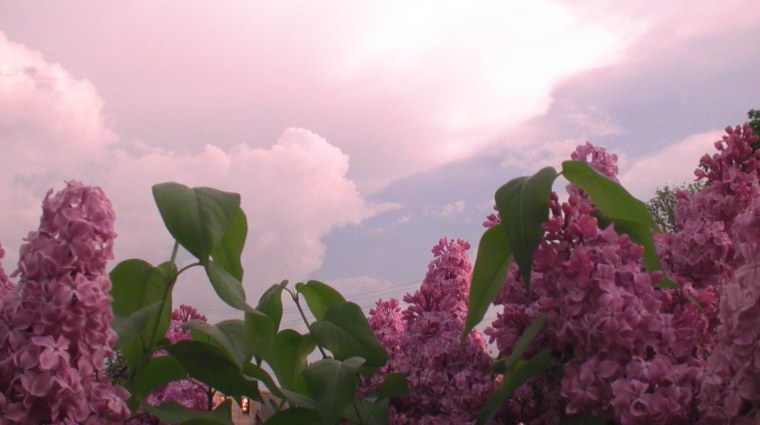 Море и небо