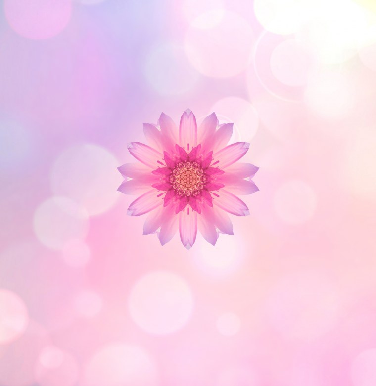 Живые обои на хонор 10