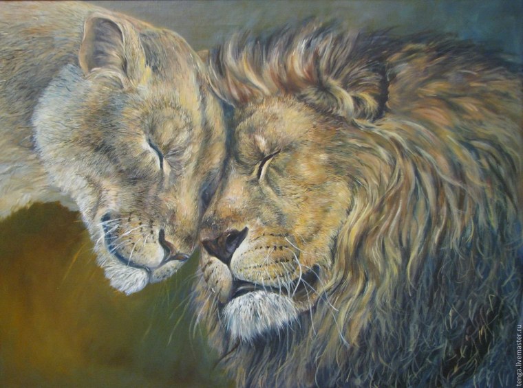 Обои любовь животные