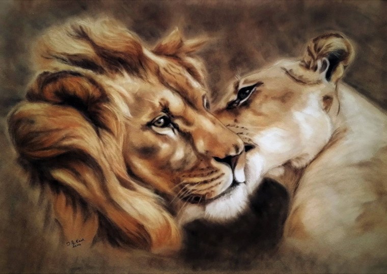 Львиная семья ex5263