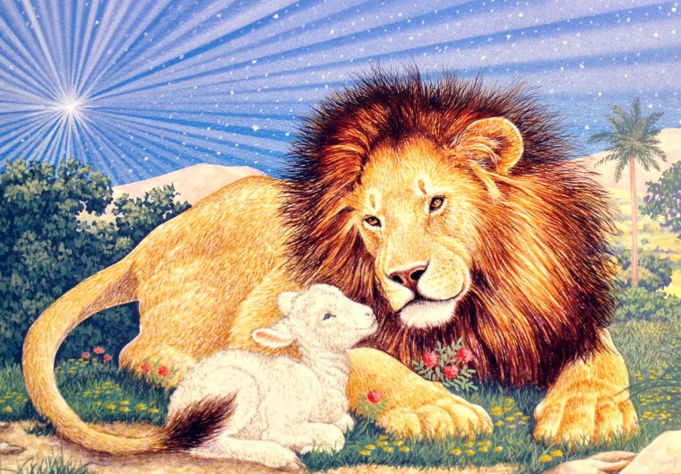 Лев и львица отношения