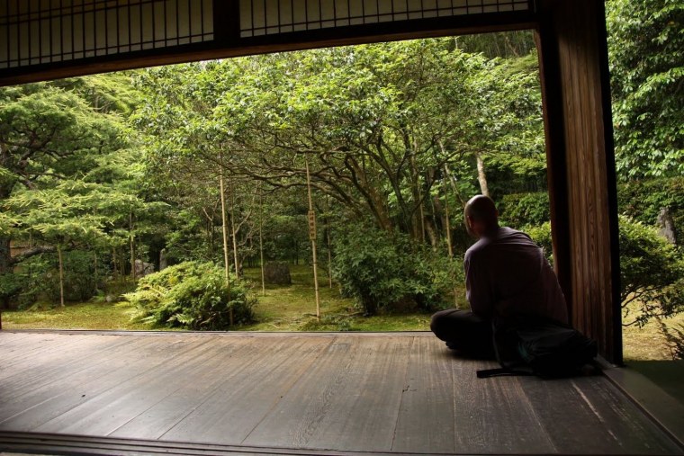 Бамбук фэн шуй