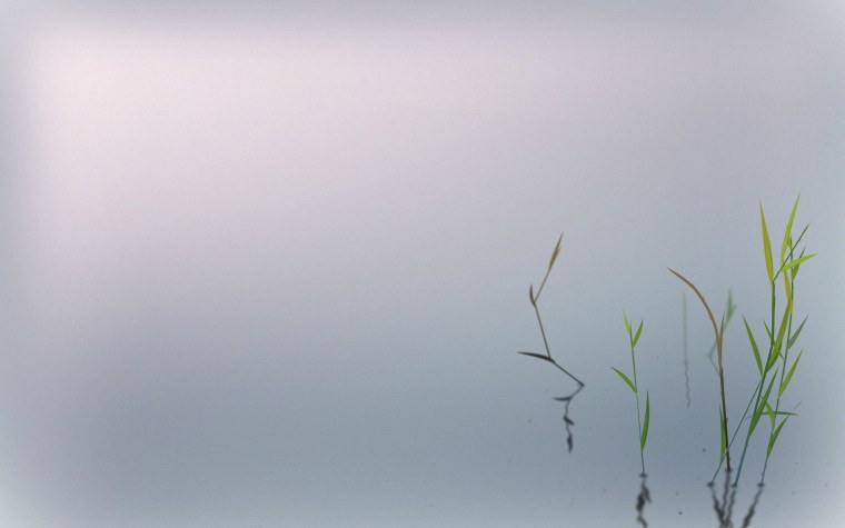 Свечи и цветы