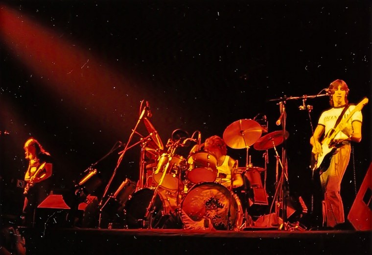 Пинк Флескед