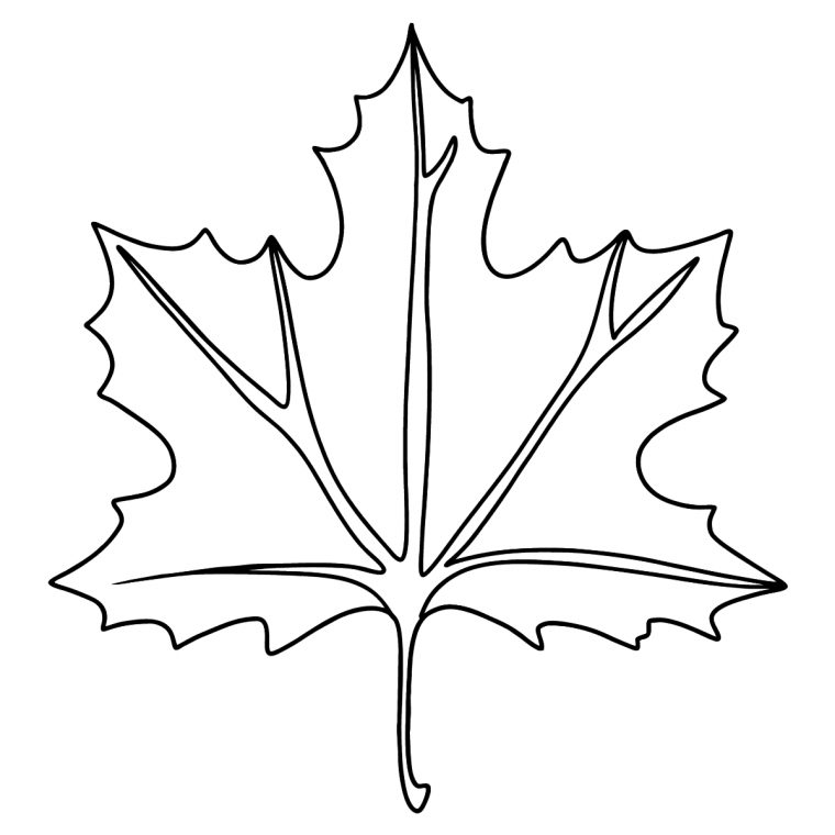 Кленовый лист черно белый