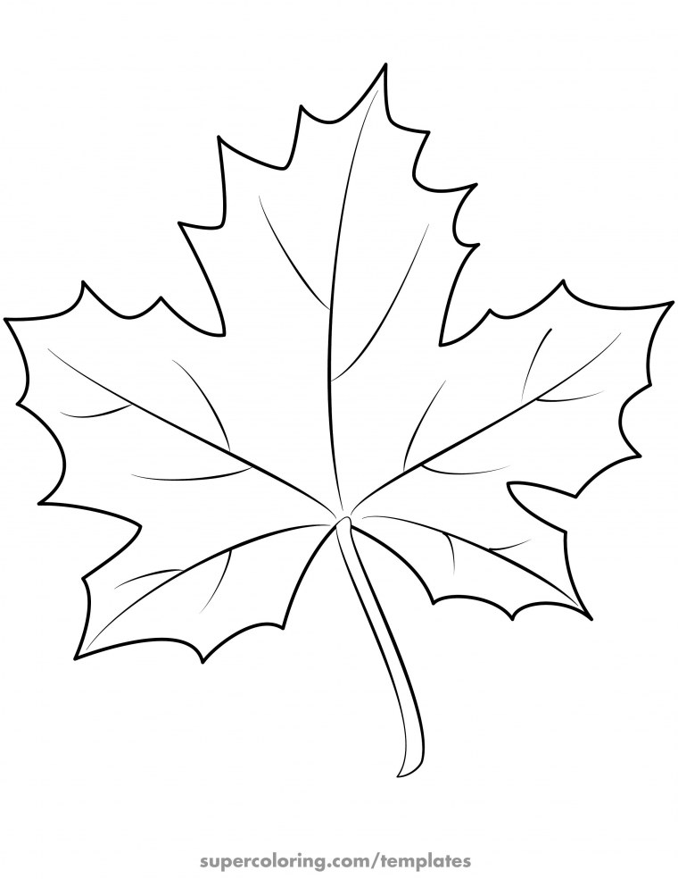 Кленовый лист раскраска