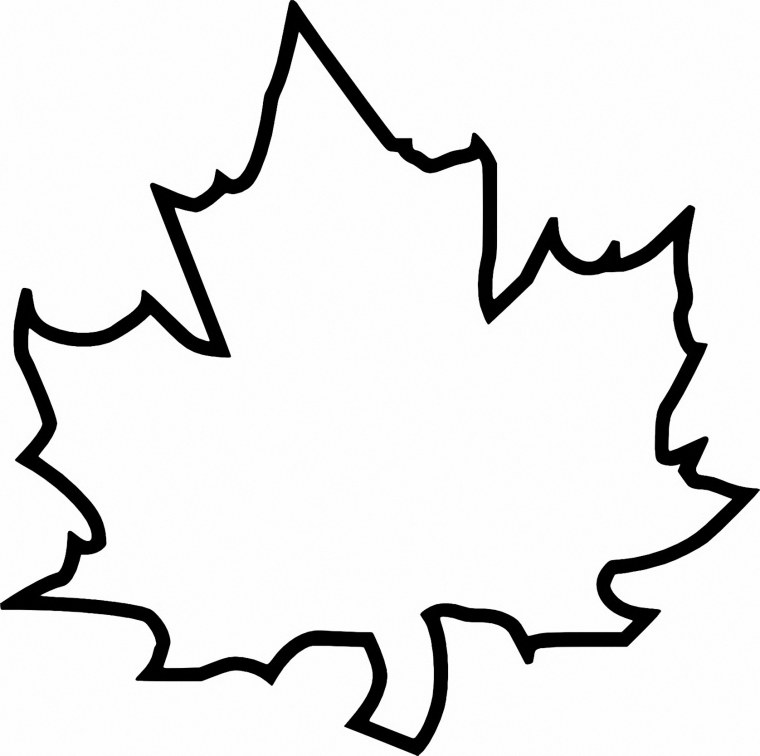 Листья рисунок