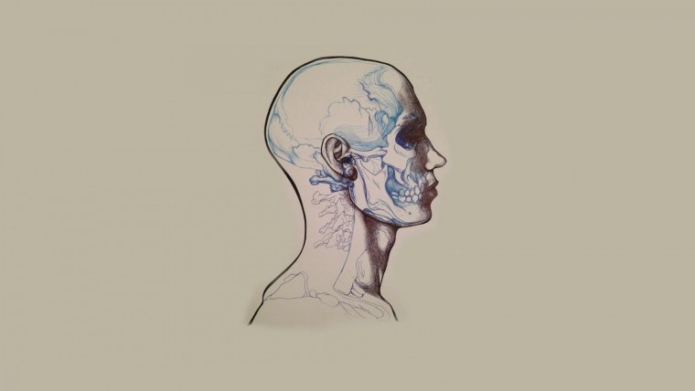 Анатомия обои