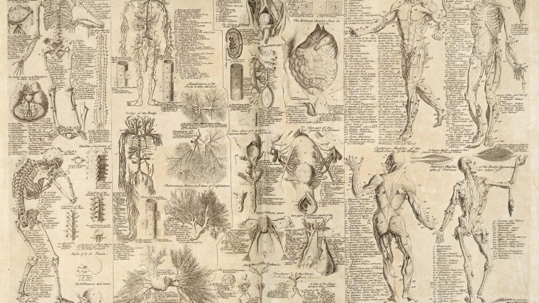 Картины Давинчи Леонардо да