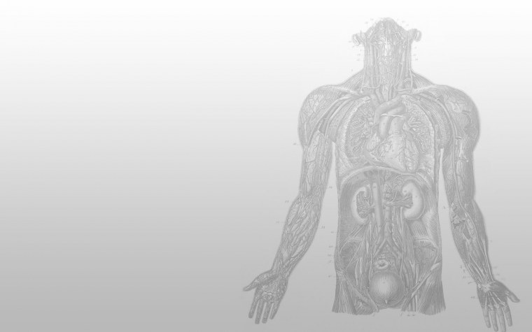 Картинки для презентации фон человечки