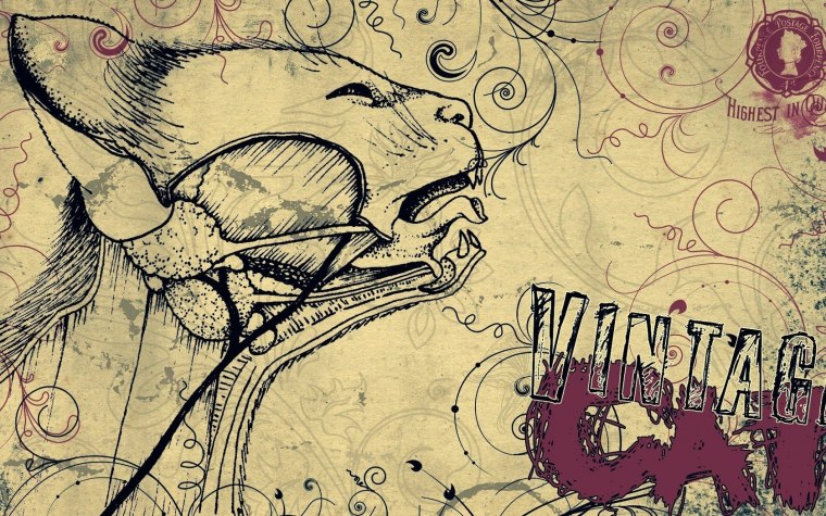 Скелет человека анатомия для художников