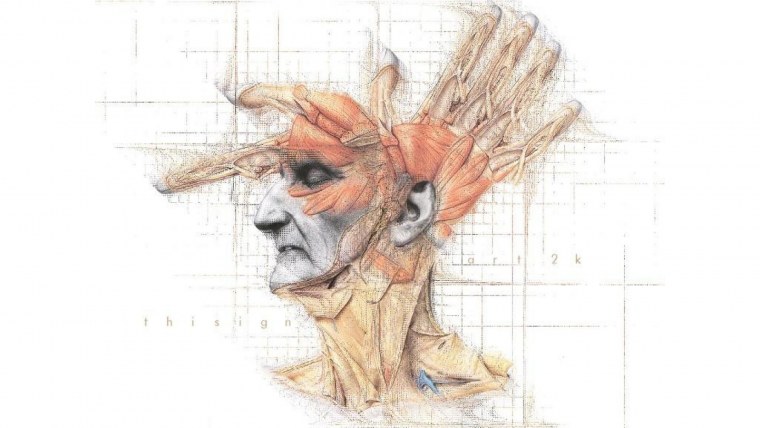 Фон для презентации мозг