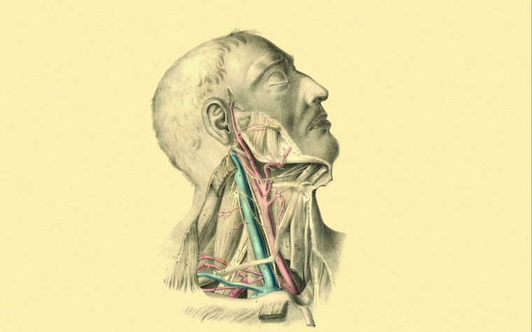 Алекс грей автопортрет