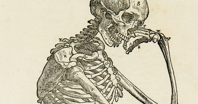 Кардиология абстракция