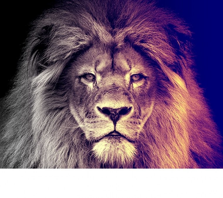 Лев царь