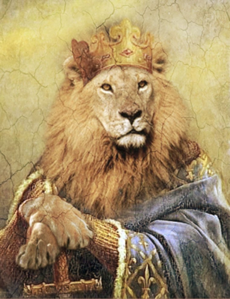 Волки и львы на аватарку