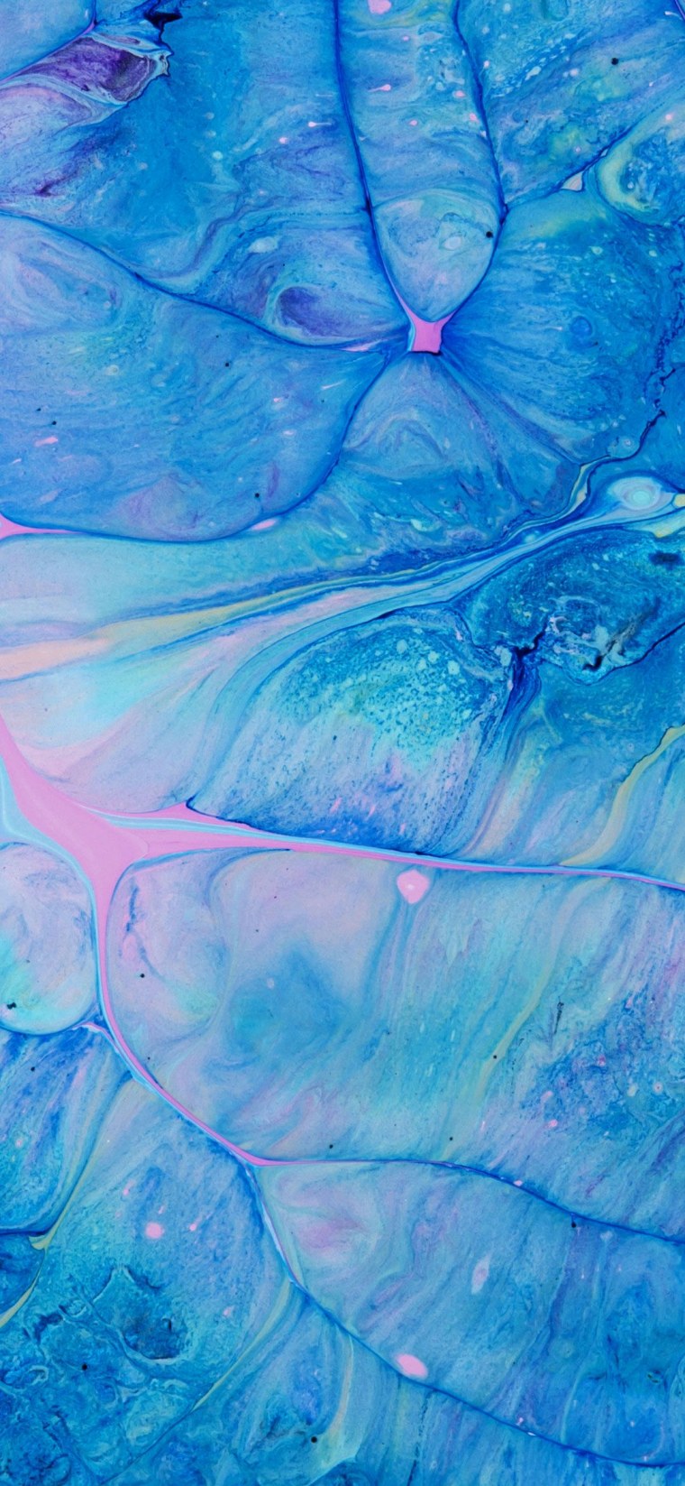 Евродекор Julie