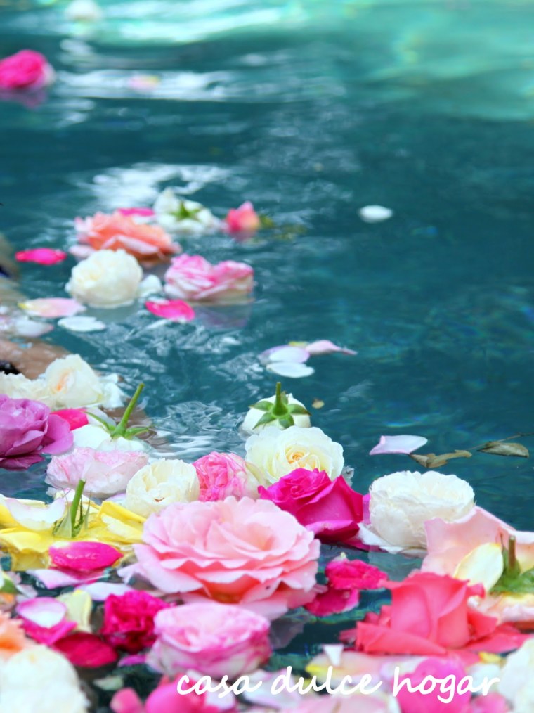 Красные розы в воде