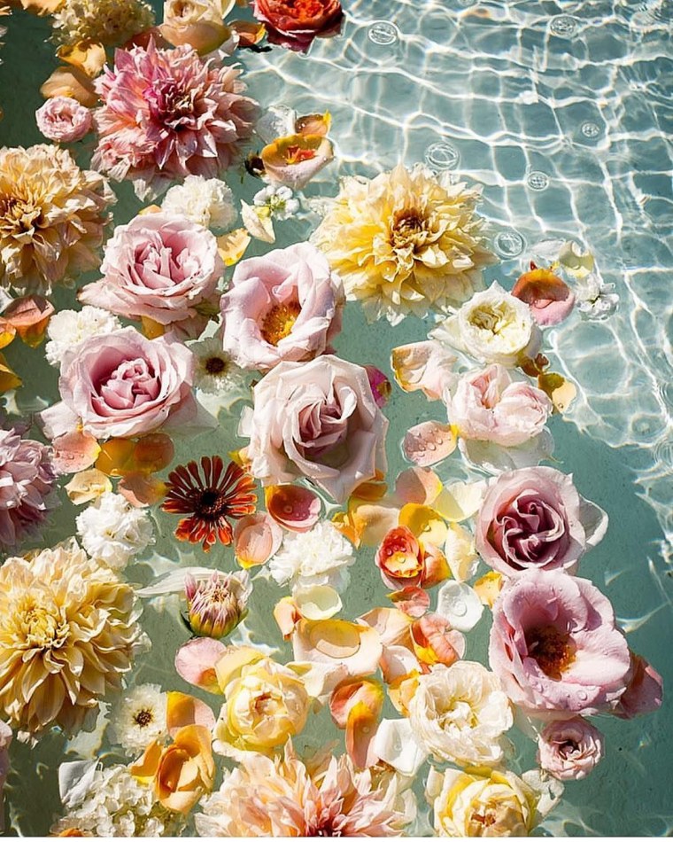 Отражение розы в воде