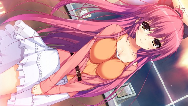 Аниме Tomose Shunsaku