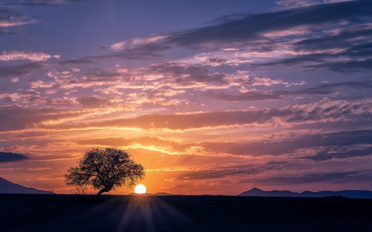 Туман рассвет абстракция