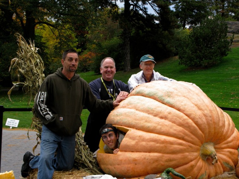Самая большая тыква в мире