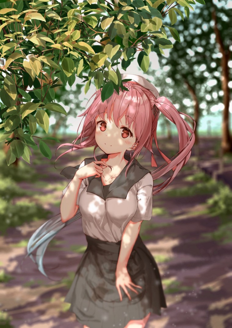 Daitai sotogawa (Futomomo