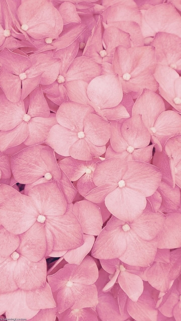 Стильный фон для сторис