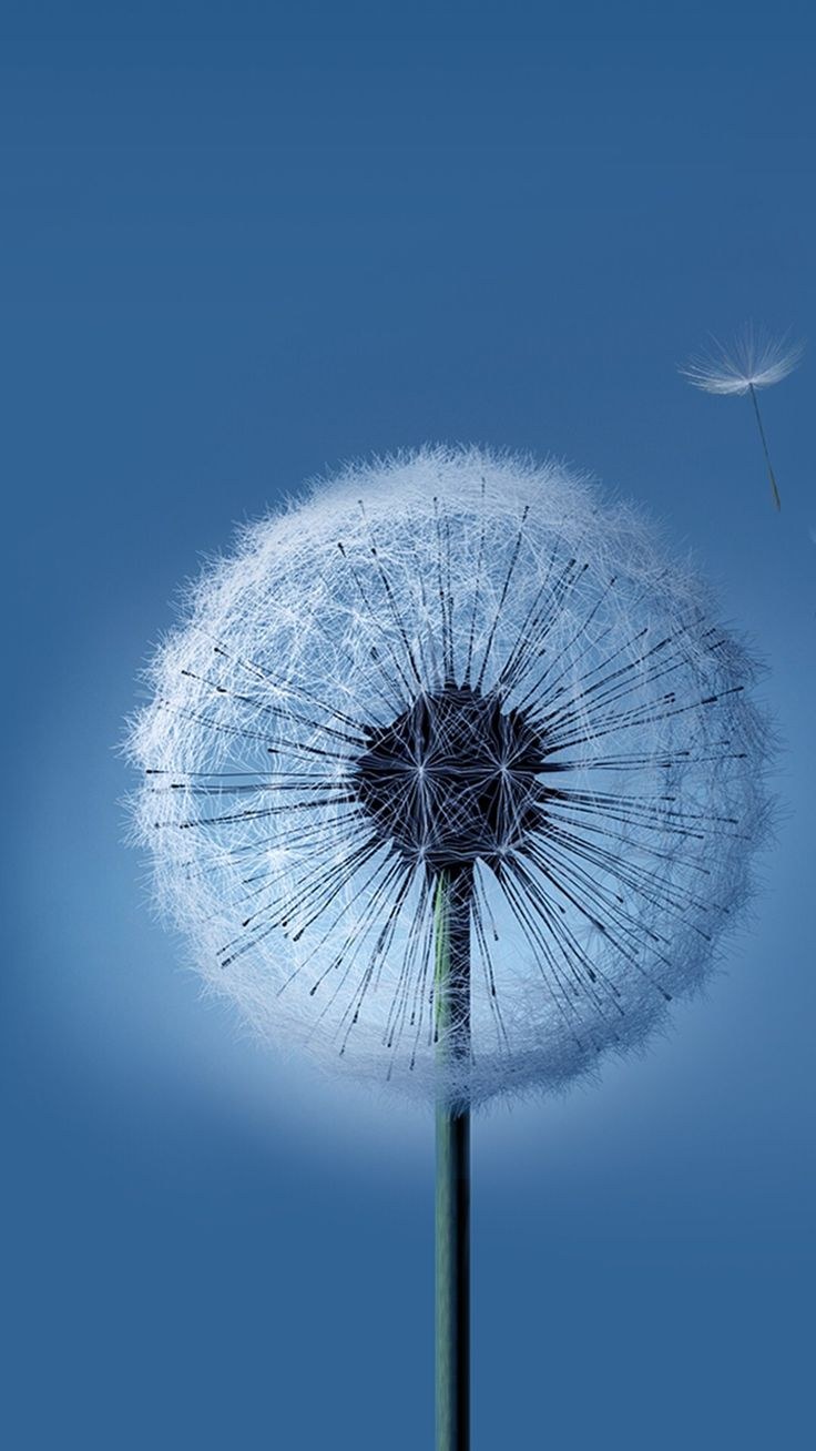 Стандартный фон на телефон