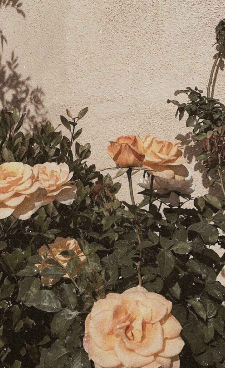 Минимализм Эстетика