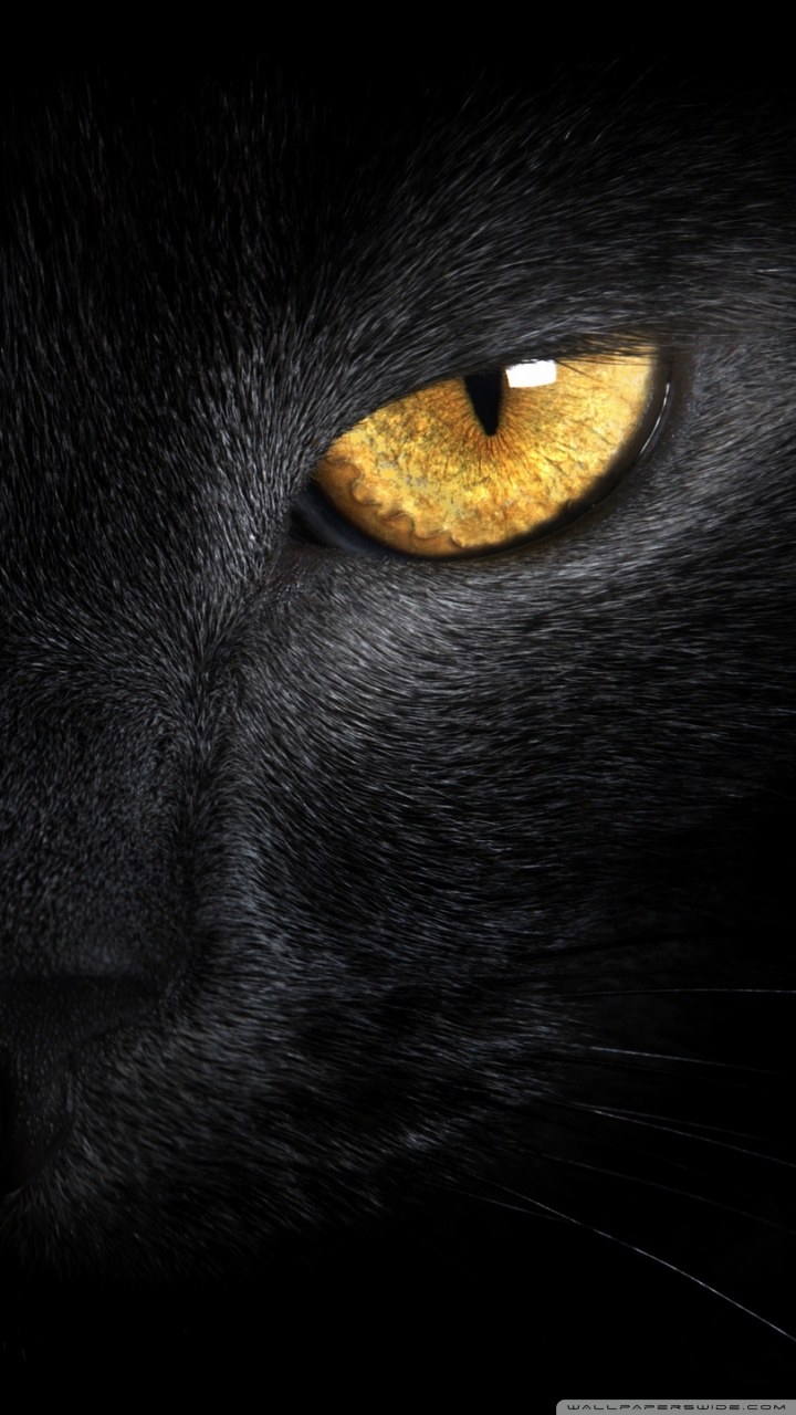 Глаза пантеры