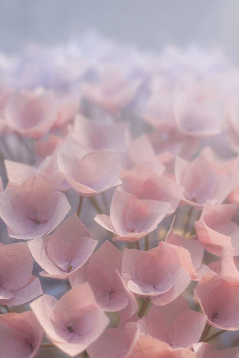 Розовая тема для телефона