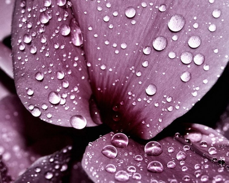 Заставка сердечки