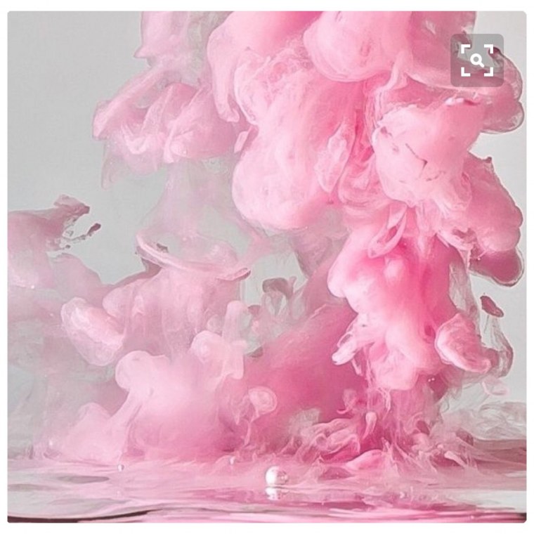 Бледно розовые цветы