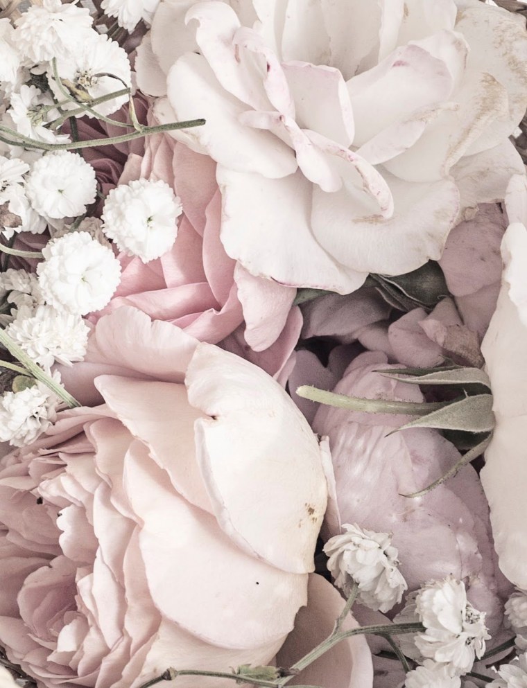 Нежный Лотос