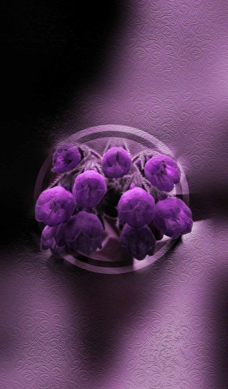 Серо розовые цветы