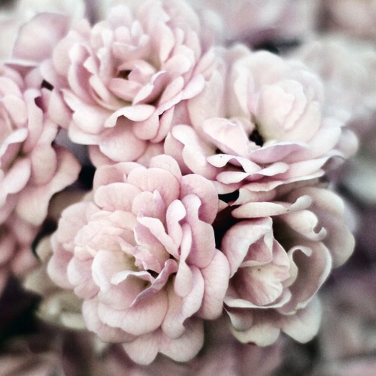 Красивый фон в пастельных тонах