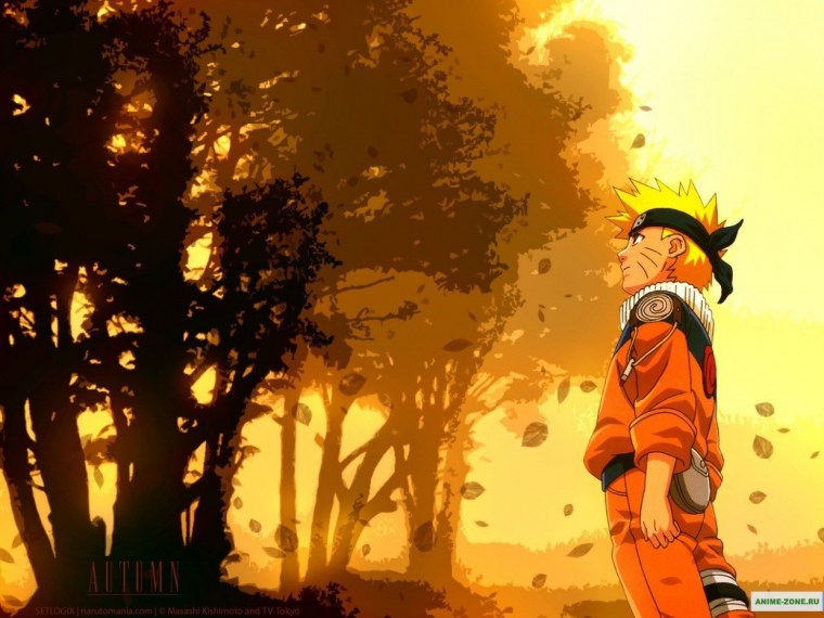 Тренировочная площадка Наруто Коноха