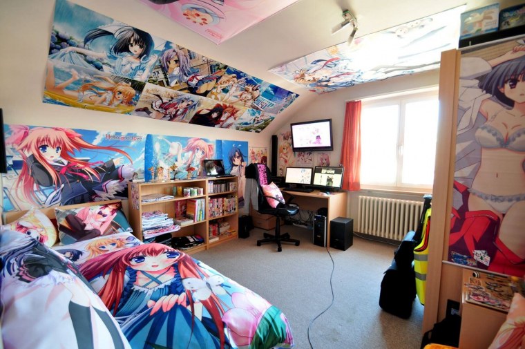 Отаку хикикомори