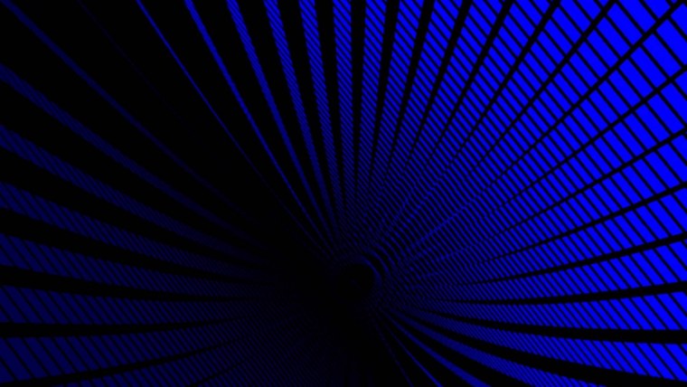 Синие цветы