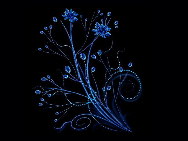 Черно синие розы