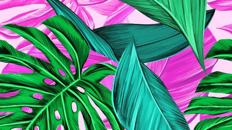 Тропические листья и цветы