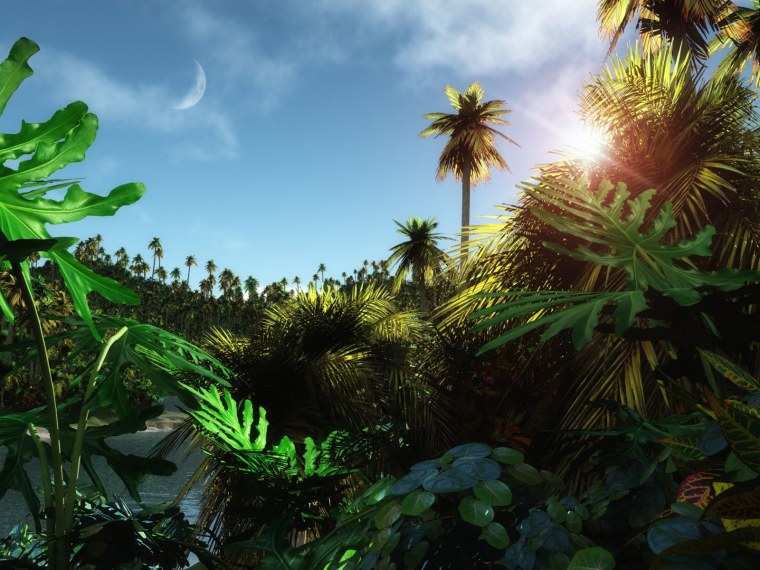 Пинтерест Акварельные цветы