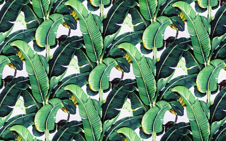 Тропическое море